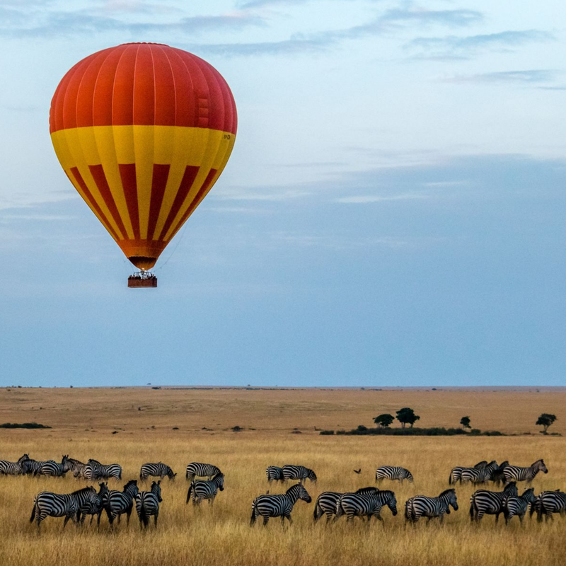 A color image of a hot air balloon in the Maasai Mara Hot Air Balloon Festival in Kenya
